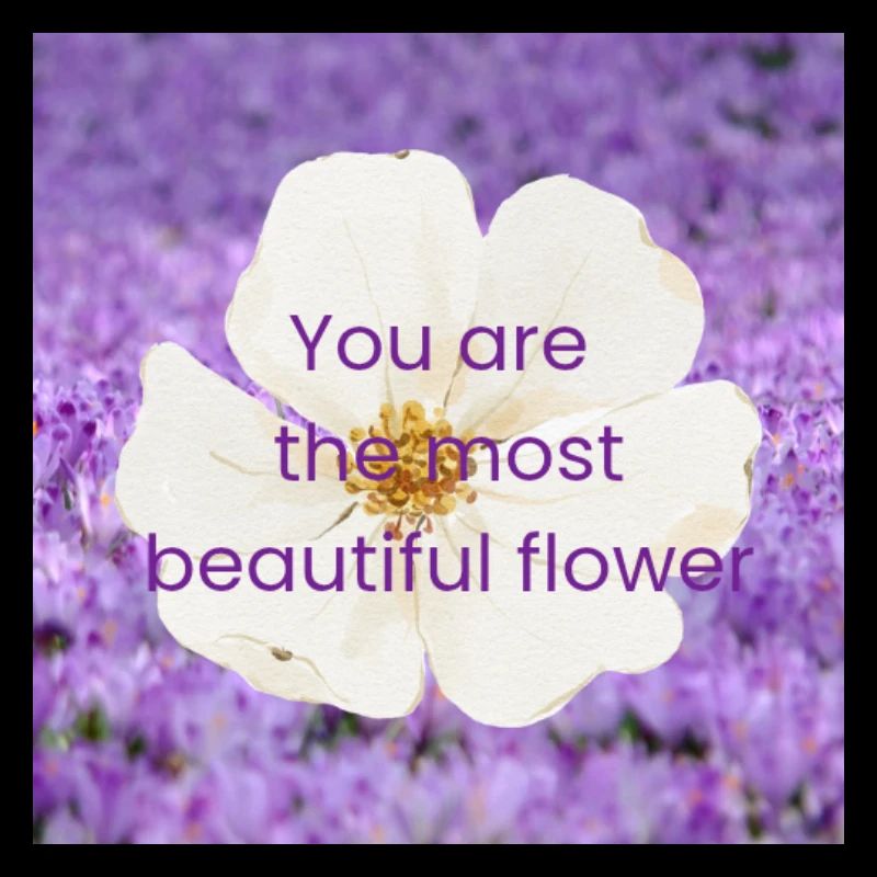 La plus belle fleur, c’est toi