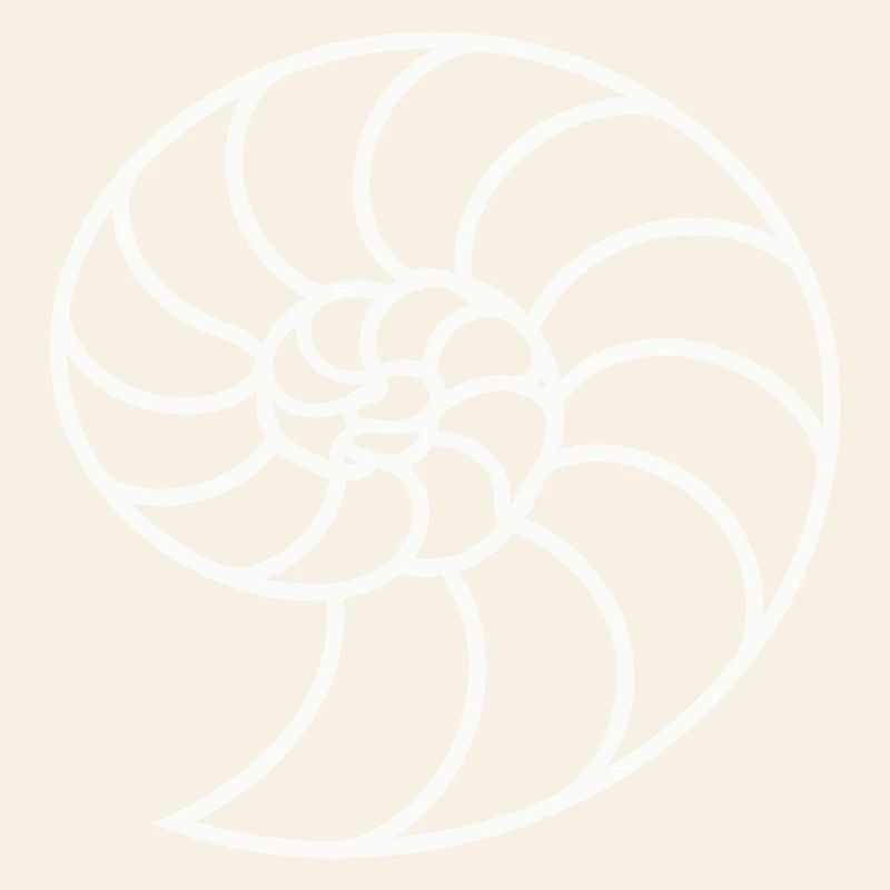White Nautilus Spiral