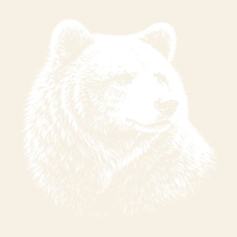 Bear – realistic graphics in black and white