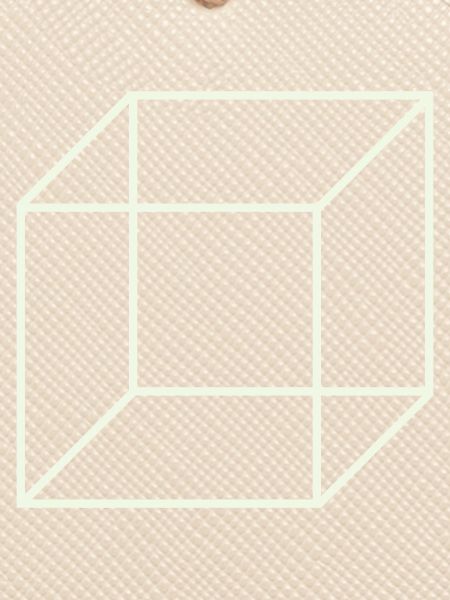 Geometric Wire Cube