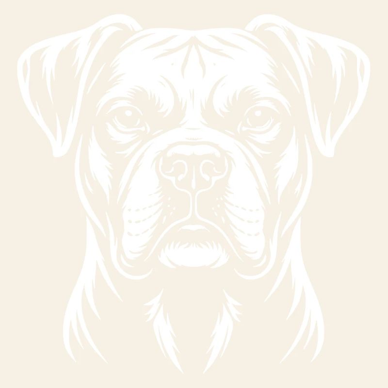 Boxer Head