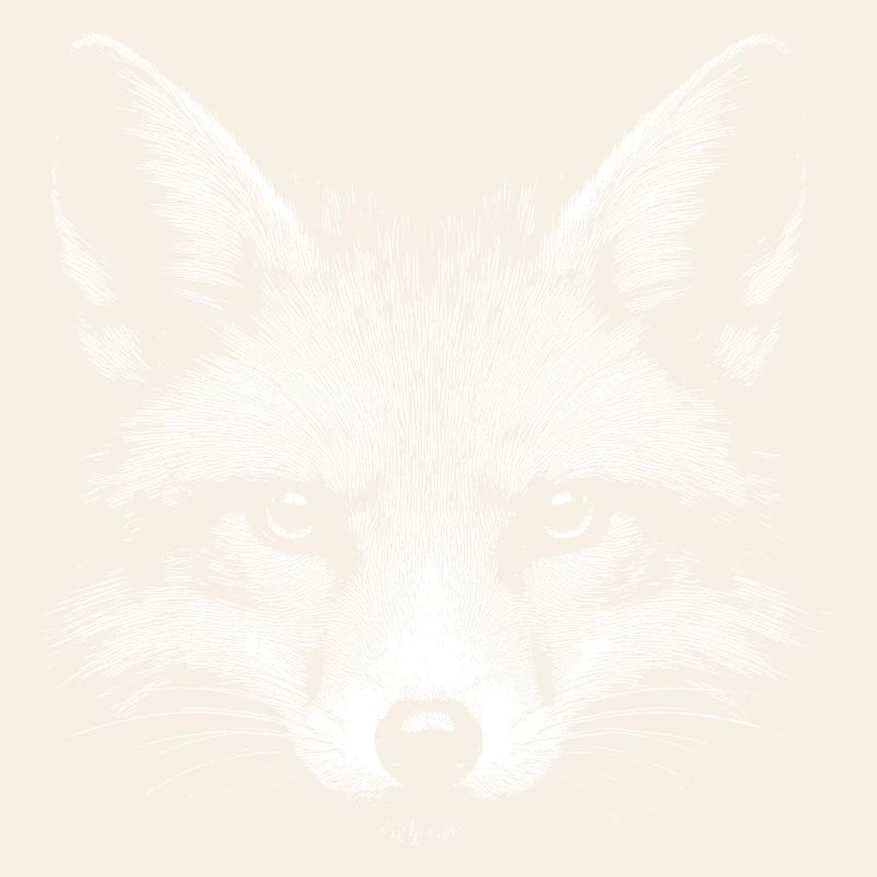 Red fox