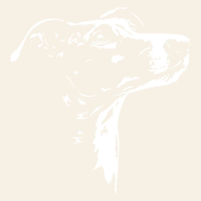 Galgo Español, silhouette Galga Lévriers Wilsigns
