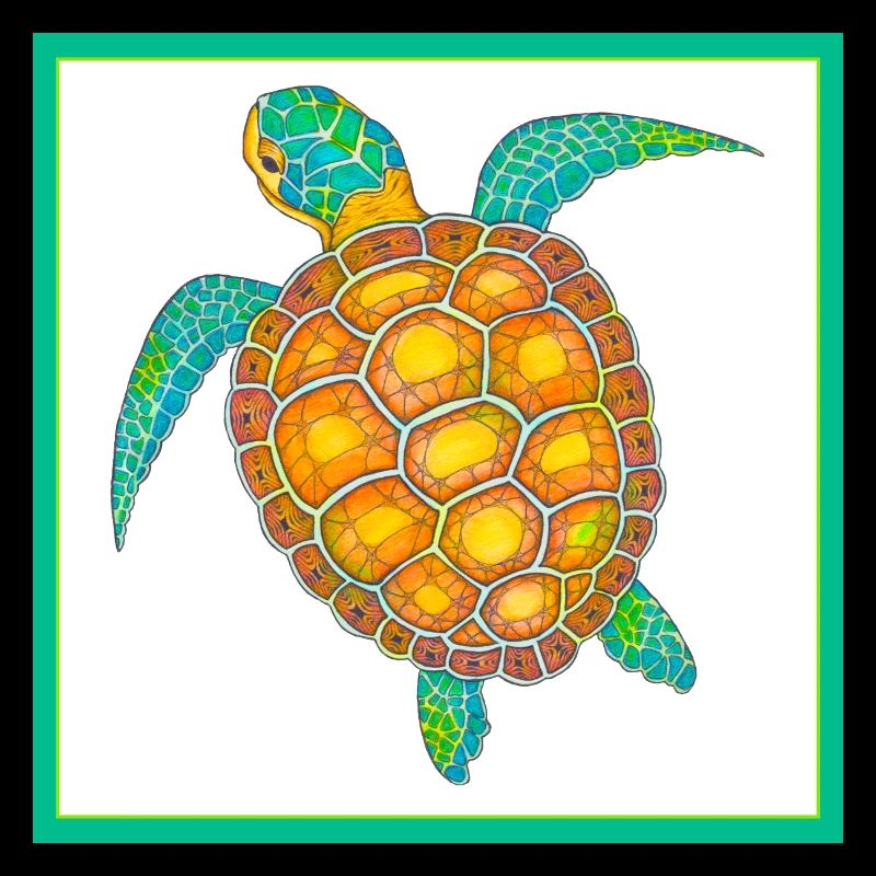 Sea Turtle Hand Drawn