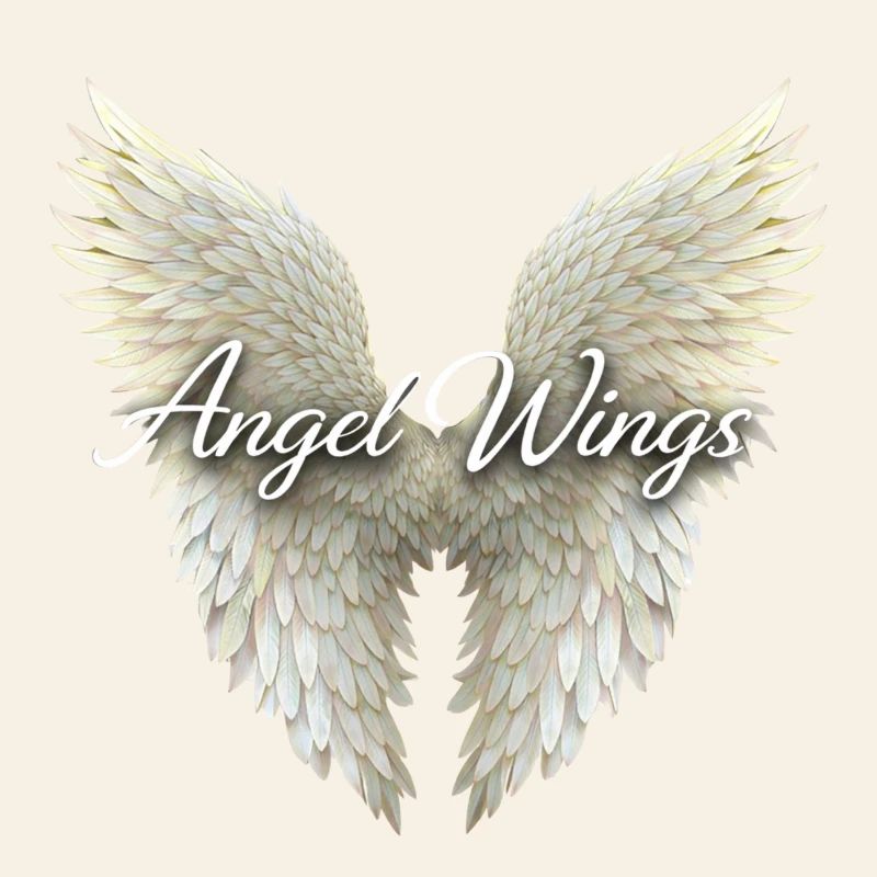 Angel Wings Script Emblem