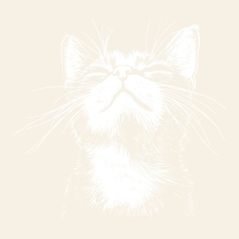 Funny Cat Face