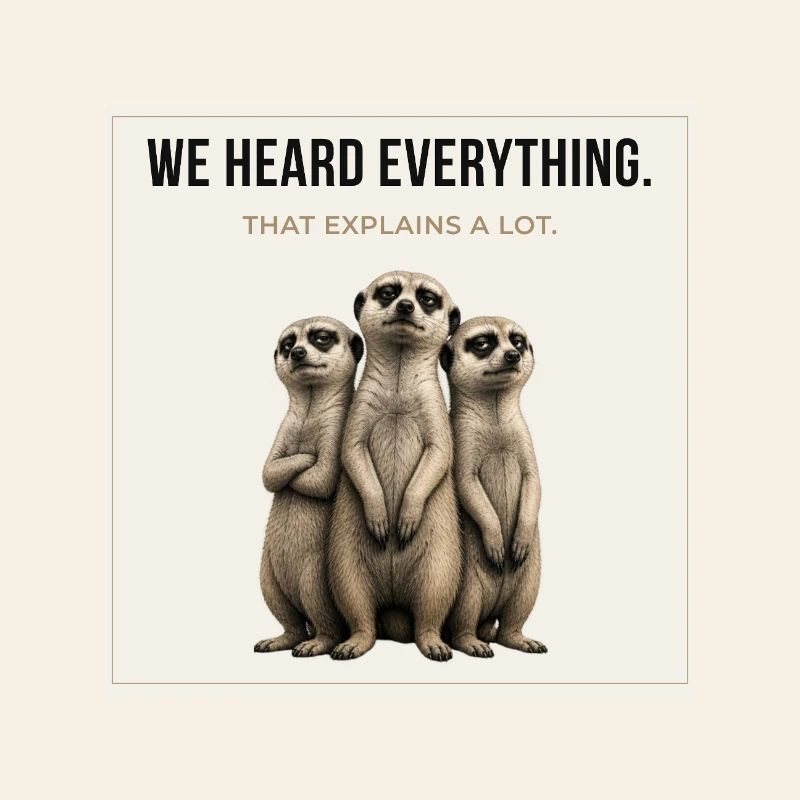 Nous avons tout entendu Trio de suricates