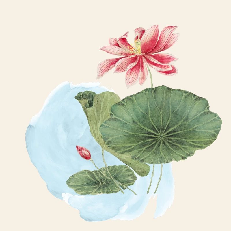 Magie de la Fleur d’Aquarelle en Nénuphar