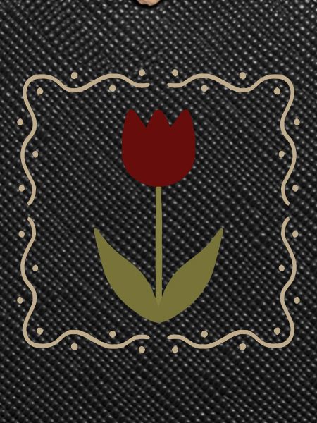 Tulip in Framed Silhouette