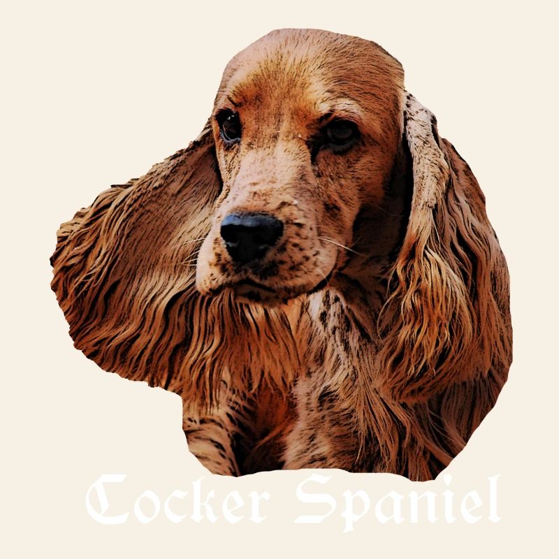 Cocker Spaniel,Spaniel,Dog Head,Pedigree Dog,