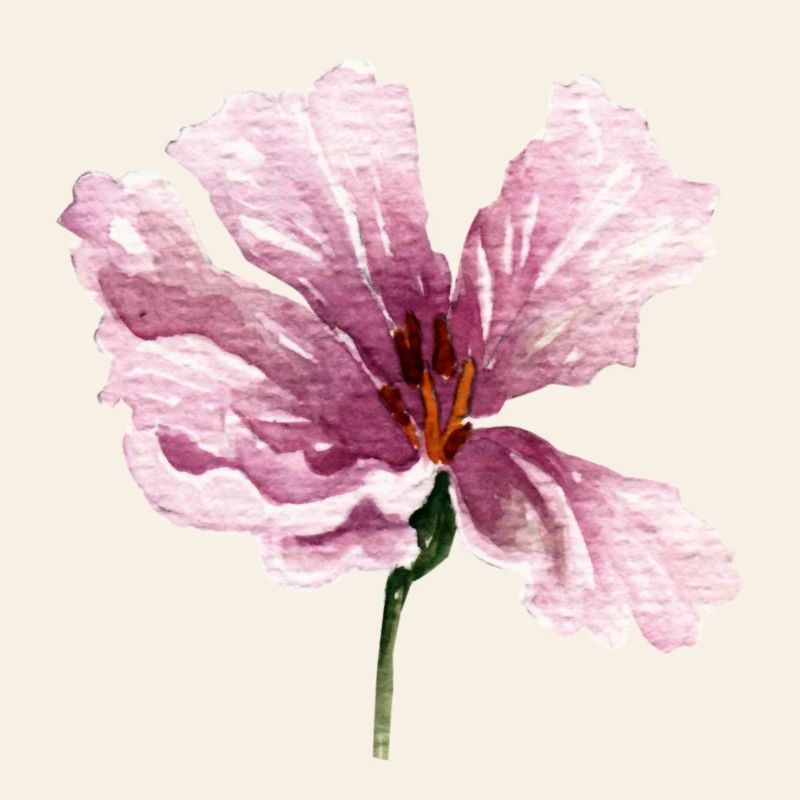 blume