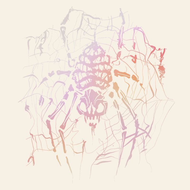 Araignée squelette