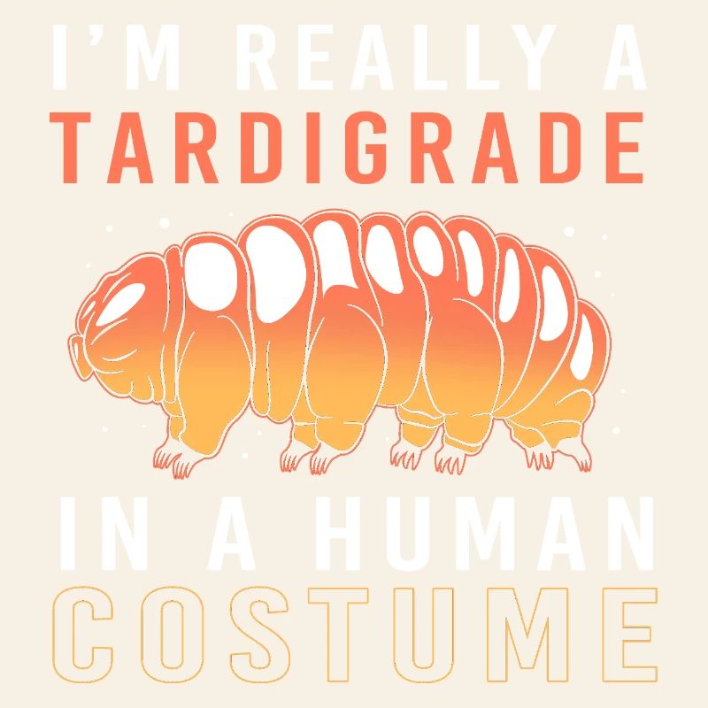 Tardigrade Tardigrade Water Bear Tardigrade