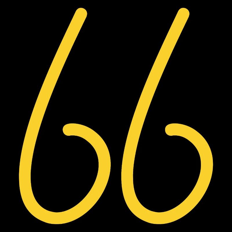 66