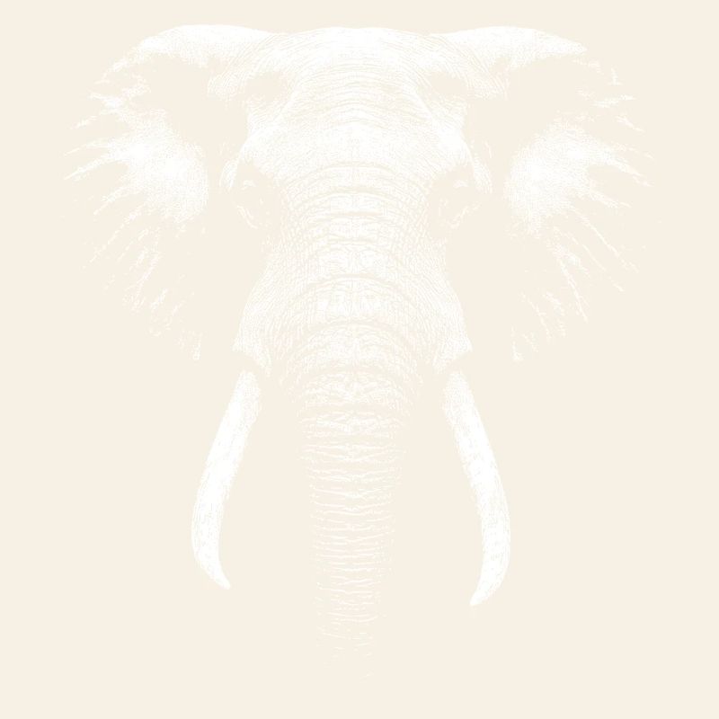 African elephant