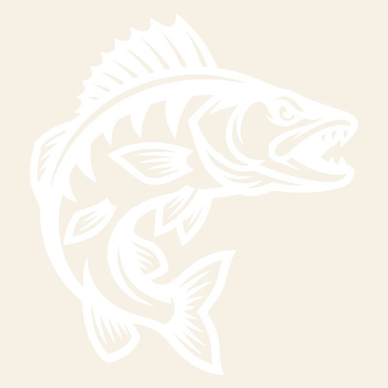 Brochet