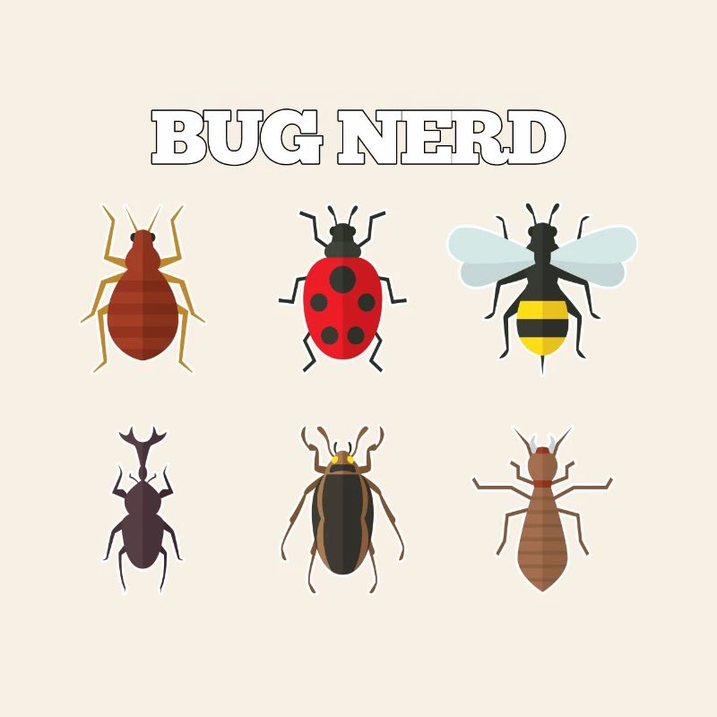 Bug Nerd