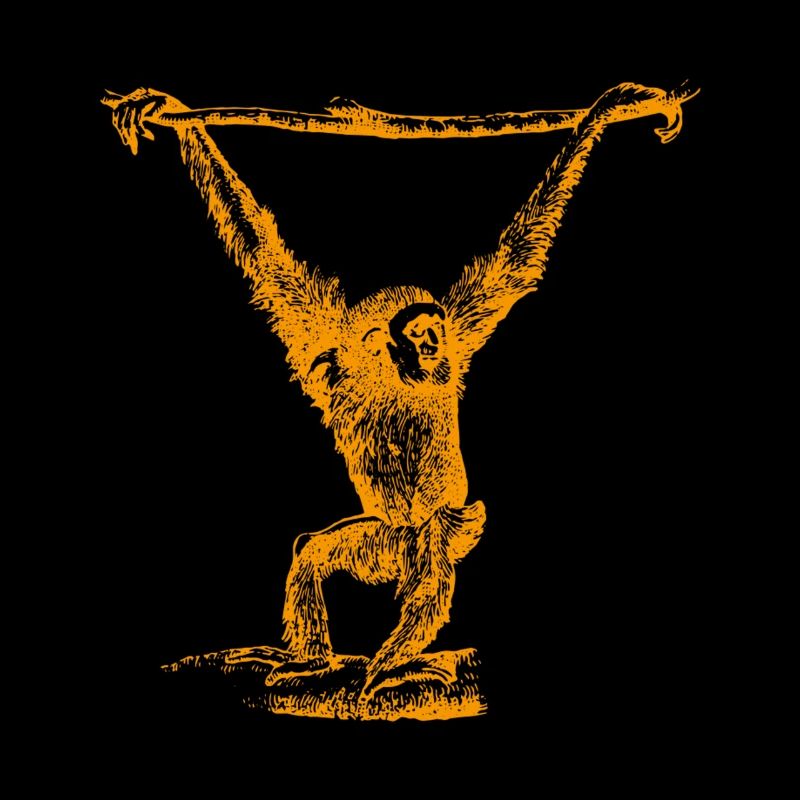 Gibbon