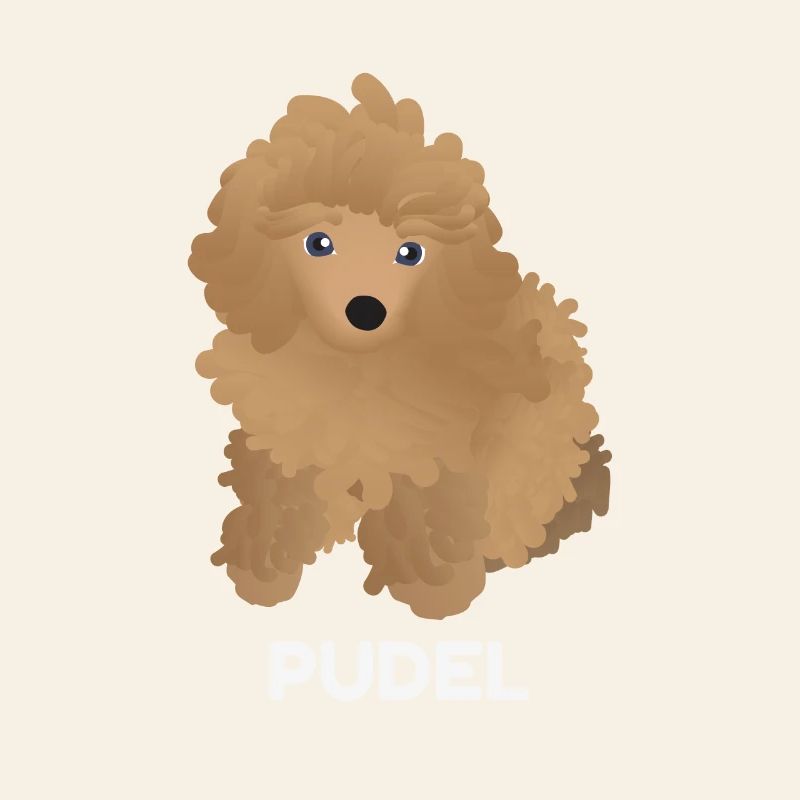 Chiot Caniche