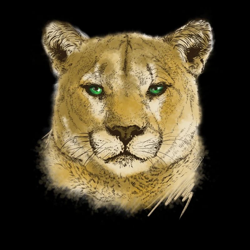 wildkatze