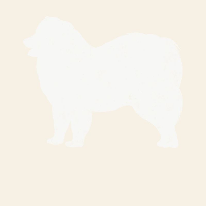 Samoyed Samoyed propriétaire de chien