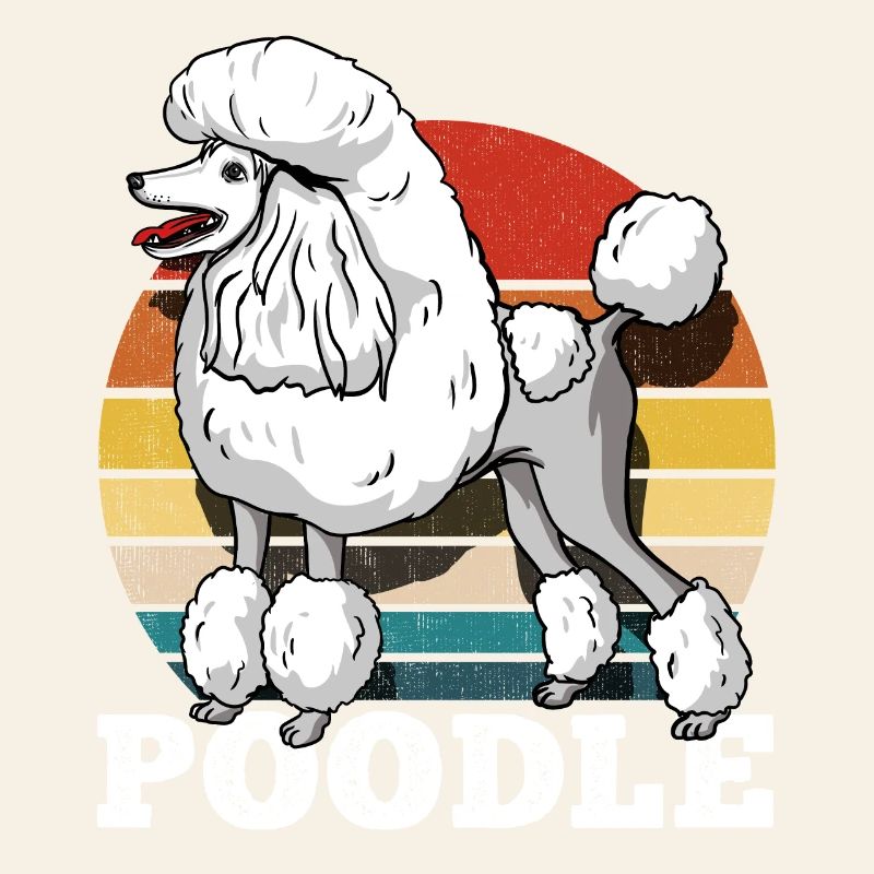 Caniche Rétro