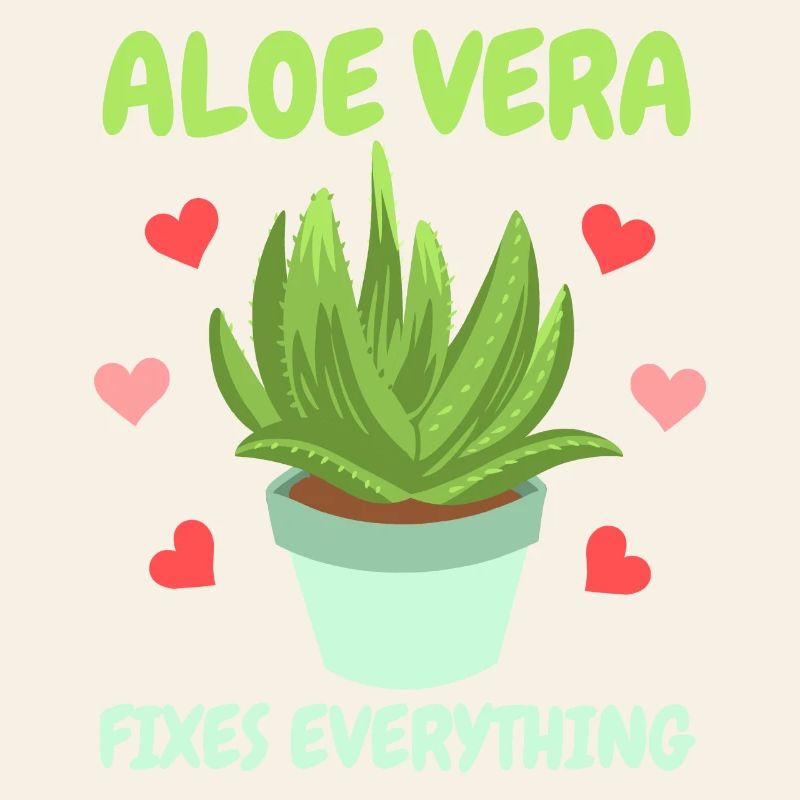Aloe Vera Succkulente