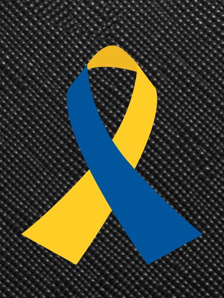 BlueYellow Ribbon Icon
