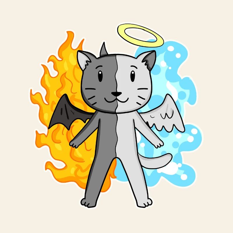 Katze Katzenrasse Britisch Kurzhaar