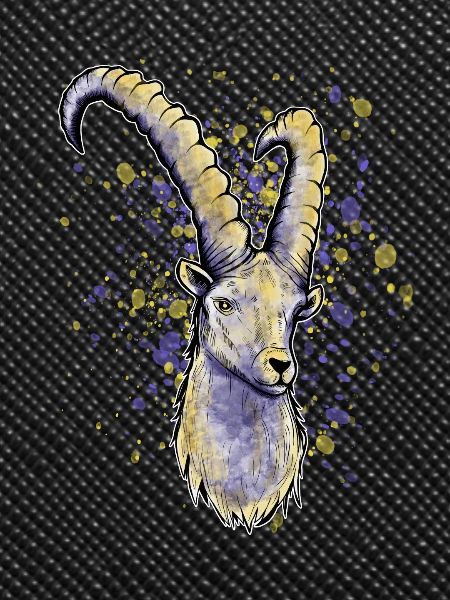 Capricorn Astrology