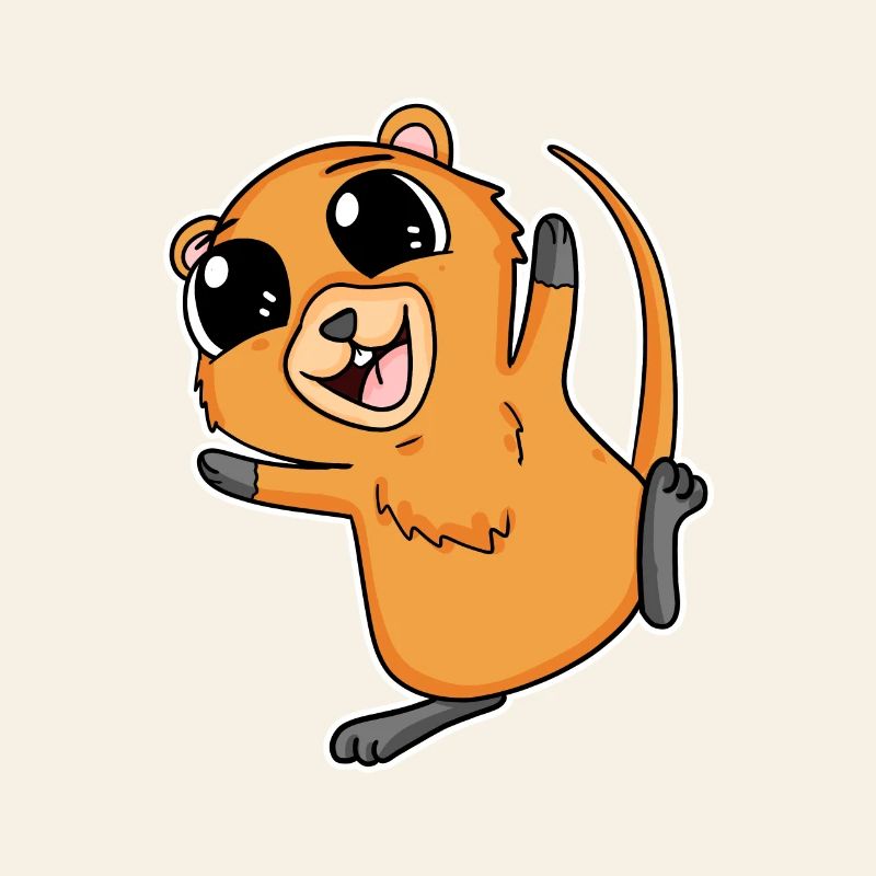 Quokka