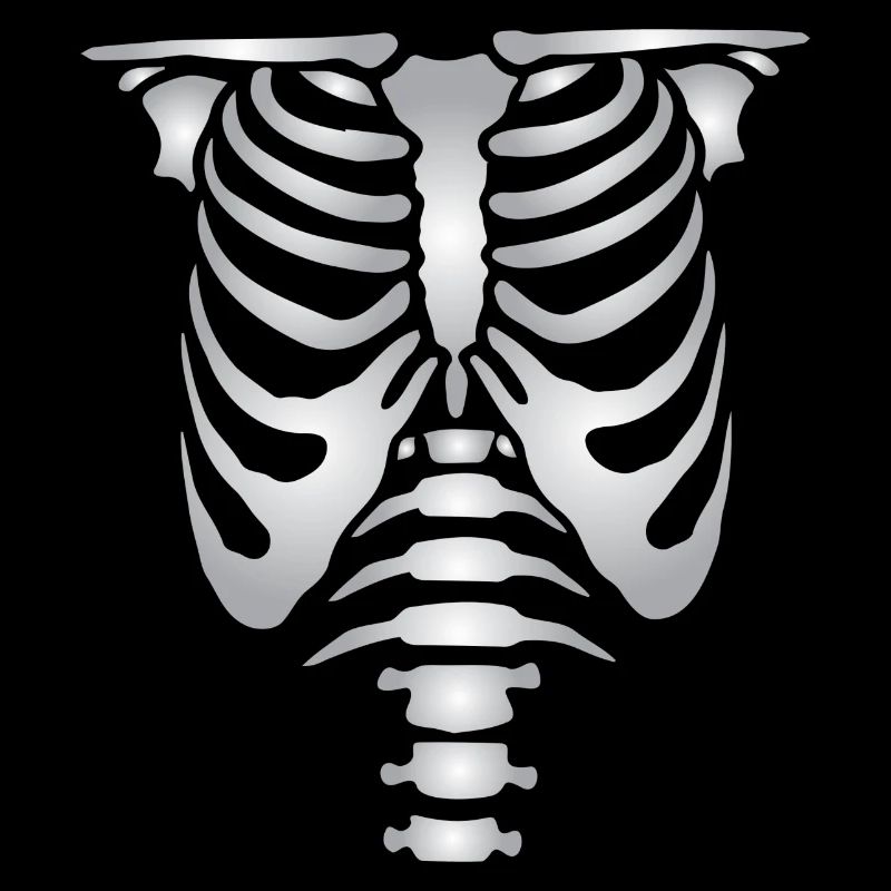 Human skeleton bones torso