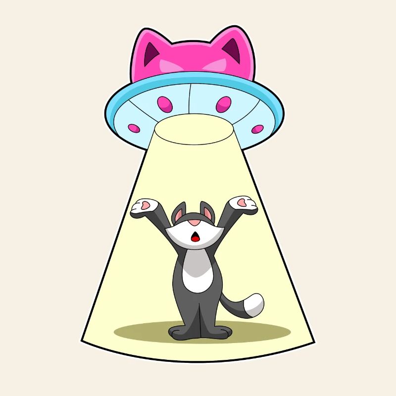 Vaisseau spatial pour chat