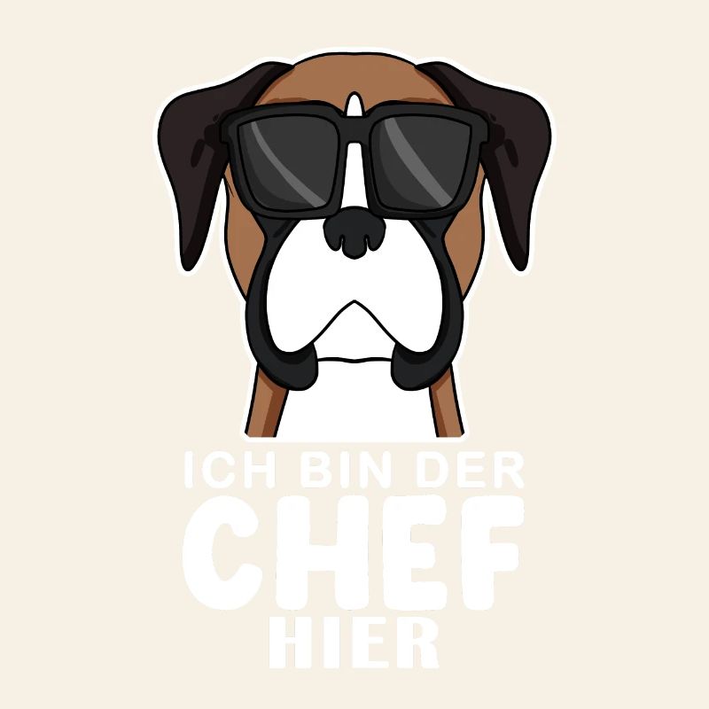 Hund Deutscher Boxer Cool Chef