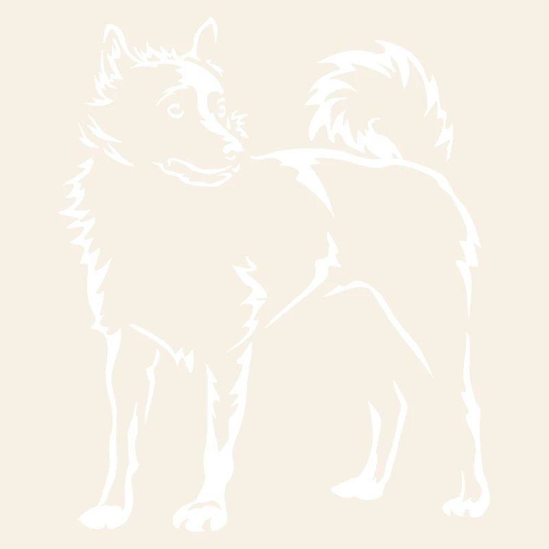 Schipperke "Black Edition"
