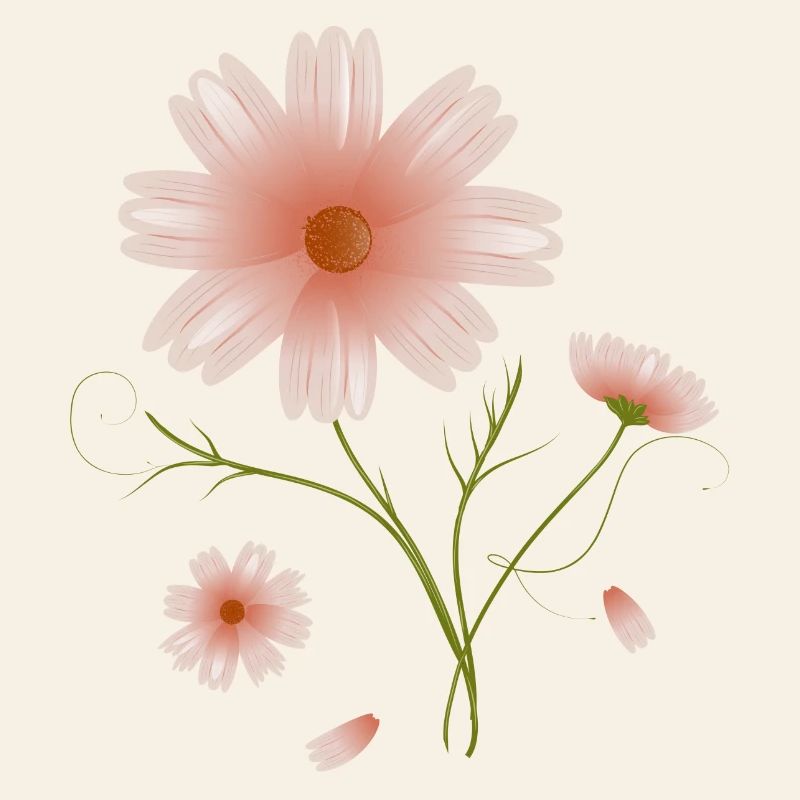 belle illustration de fleurs roses de fleur de cosmea