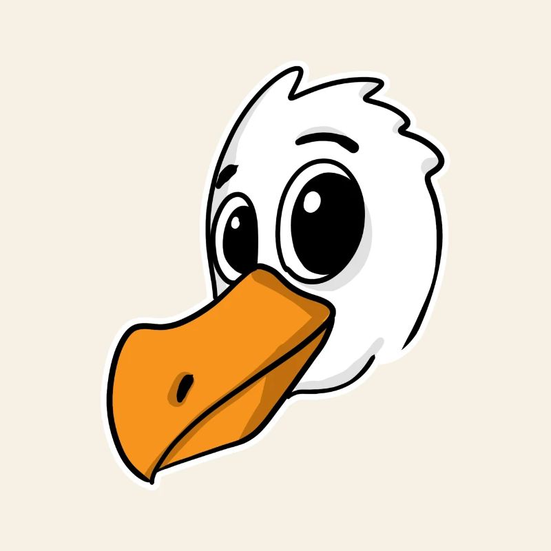 Möwe Vogel Nordsee