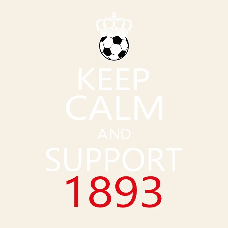 Support 1893
