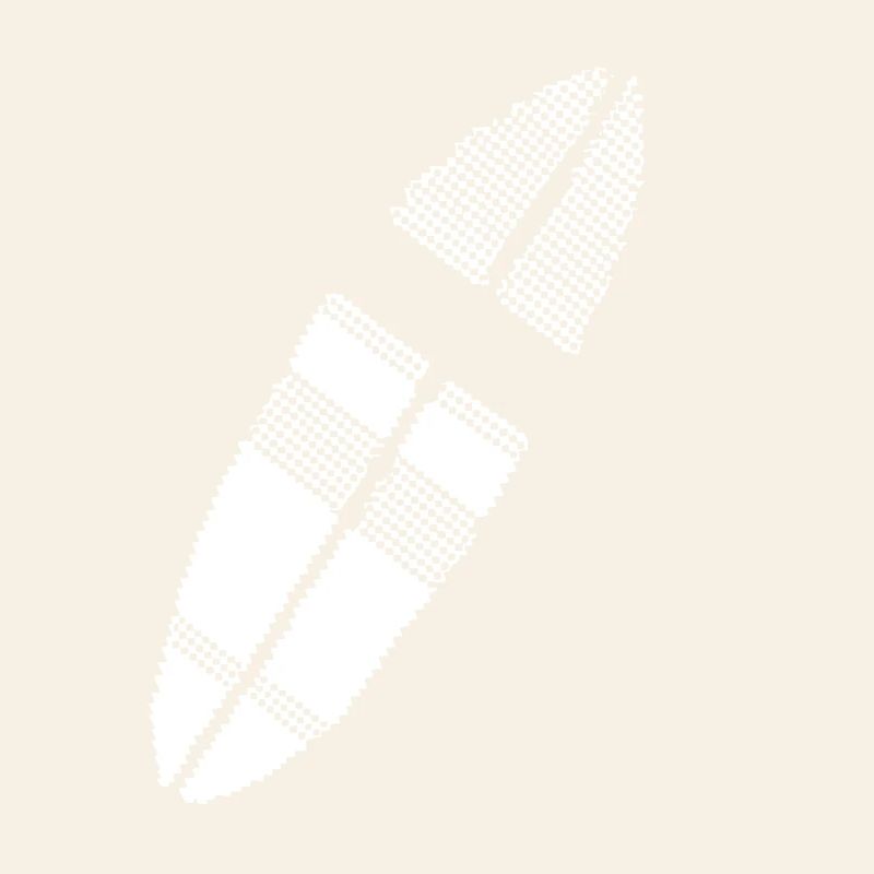 planche de surf Pixel Graphic