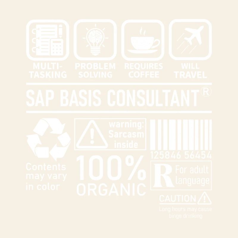 Sap Basis Consultant multi tasking problem solving
