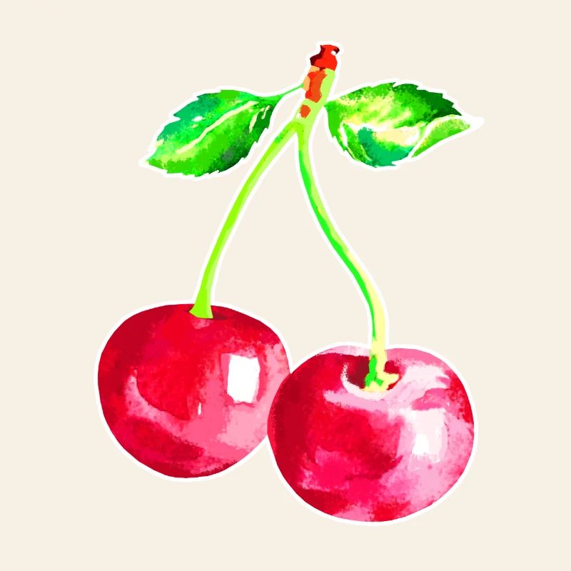 Kirsche, Rote Kirschen