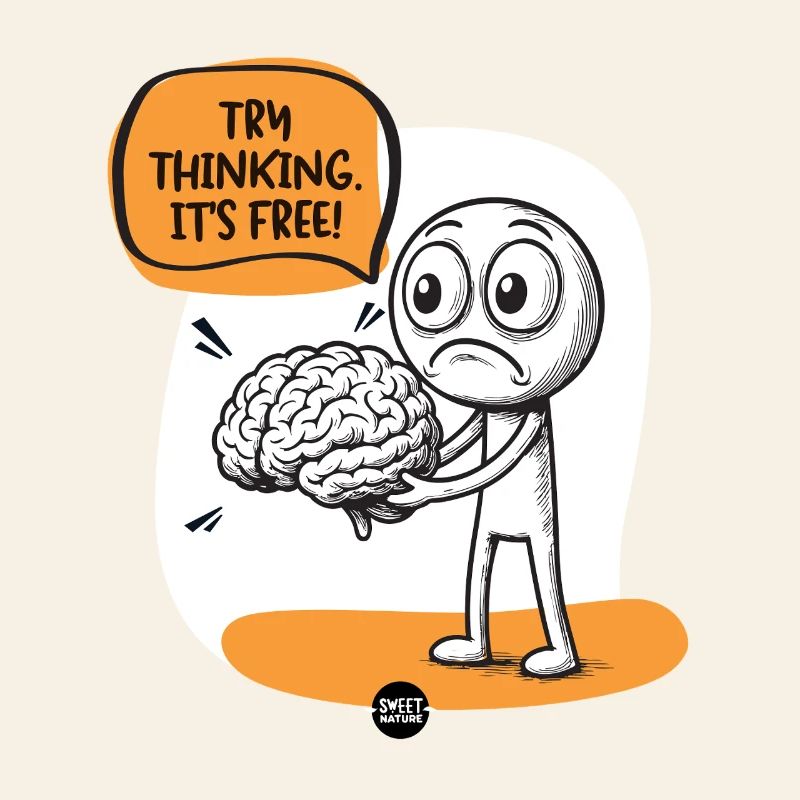 Cerveau. Un peu d’assemblage est requis.