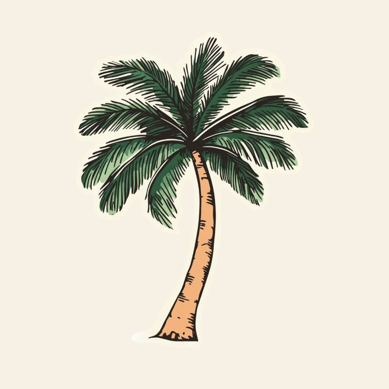 Palm tree