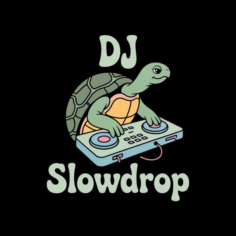 DJ Slowdrop Turtle au Mixer Rave Vibes