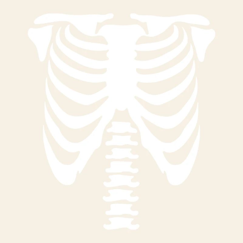 Skeleton Torso