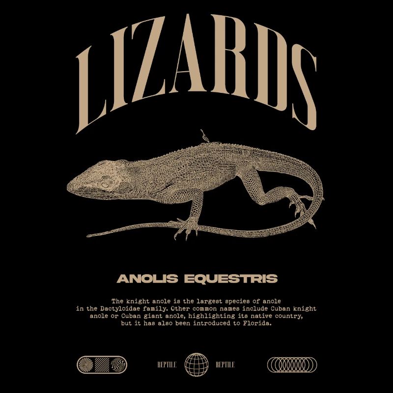 Kubanischer Ritter Anole Reptilienhalter Eidechse