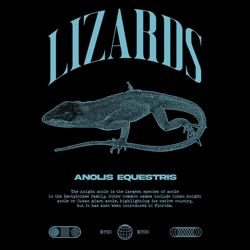 Cuban Knight Anole Reptile Keeper Lizard