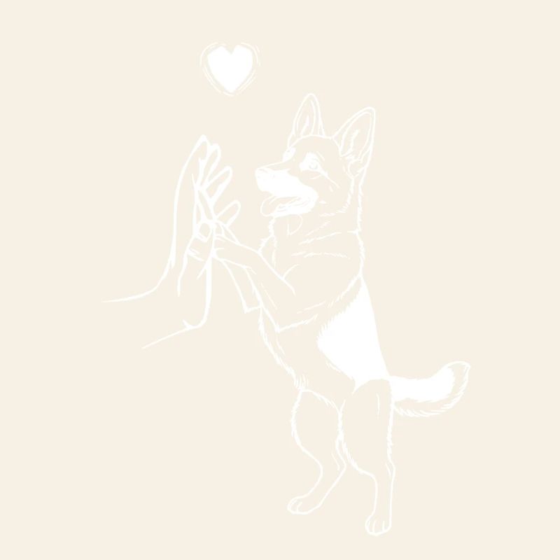 Deutscher Schäferhund Art Hund