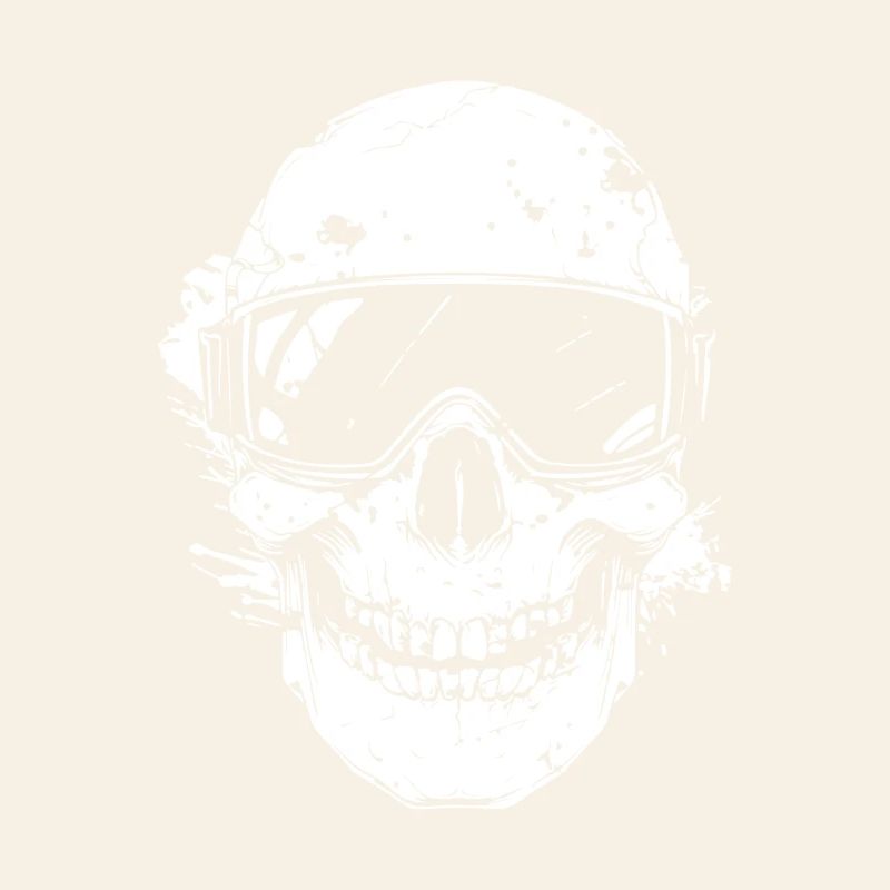 Skull in helmet with goggles