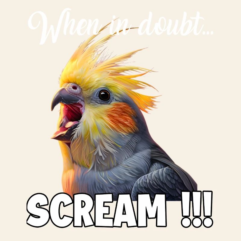 Drôle de T de calopsitte, mème de l’oiseau hurlant